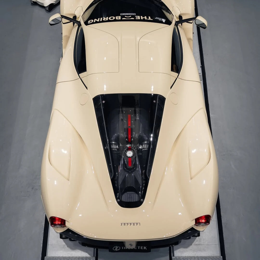 THE BORING WHITE