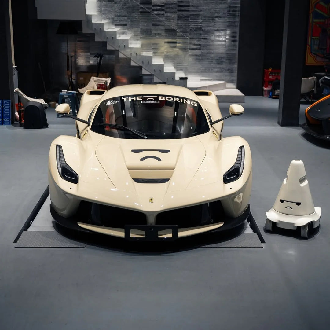 THE BORING WHITE