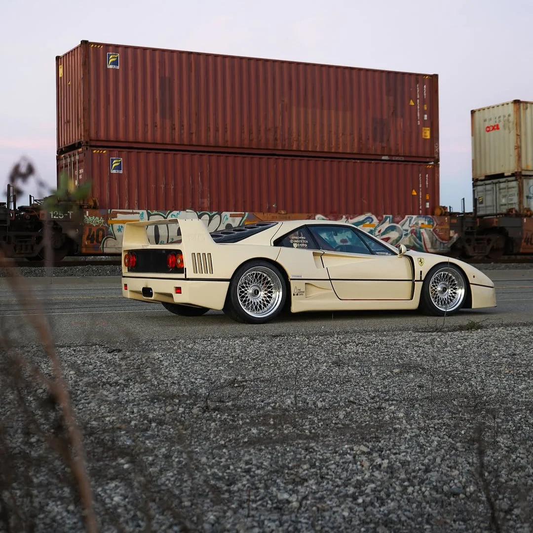 THE BORING WHITE