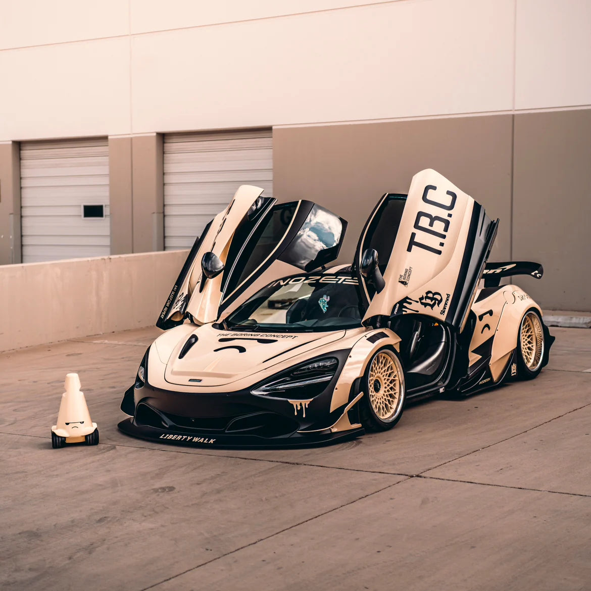 THE BORING WHITE