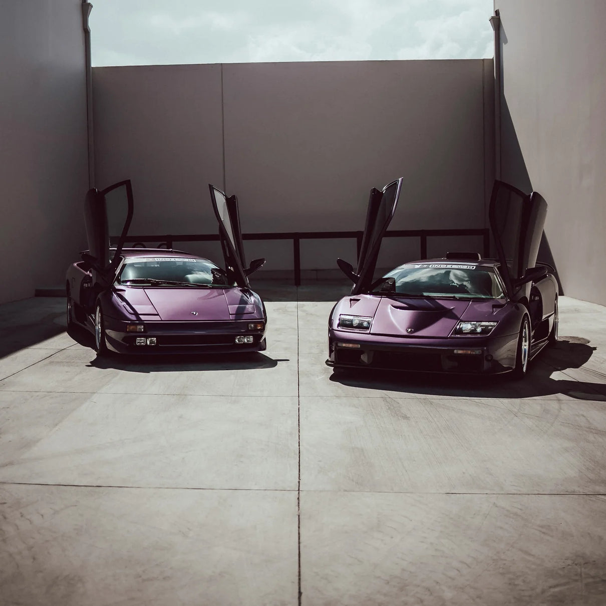 PLAYBOY AMETHYST ASH