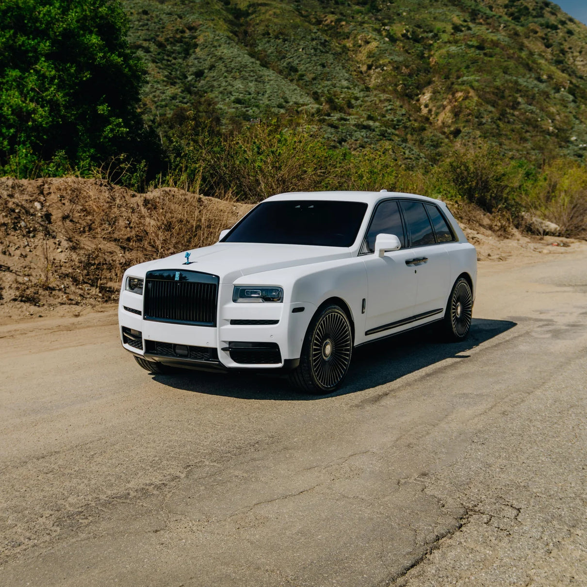 FROZEN MATTE WHITE